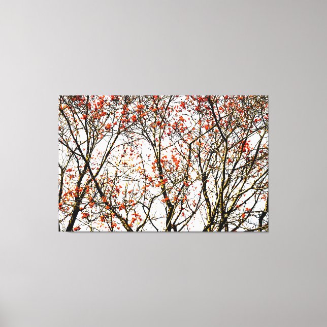 Lienzo Frutos romanos rojos o bayas de ceniza (Anverso)