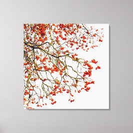 Lienzo Frutos romanos rojos o bayas de ceniza