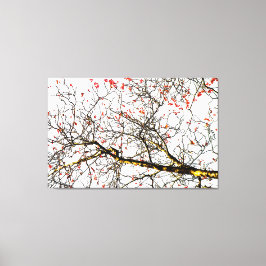 Lienzo Frutos romanos rojos o bayas de ceniza