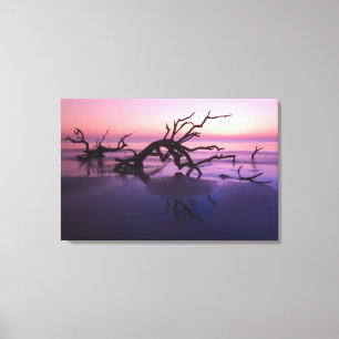 Lienzo GA Jekyll Island, Tree graveyard en la playa en