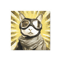 Gafas de Gato Aviador Sol Explosión Retrato