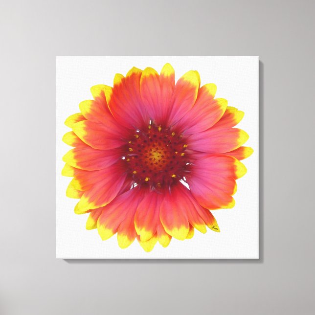 Lienzo Gaillardia 1 (Anverso)