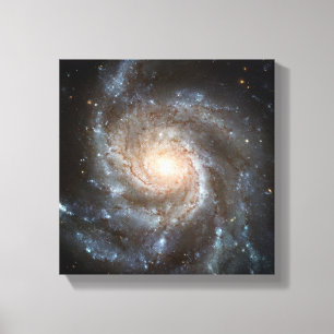 Lienzo galaxia del molinete telescopio Hubble foto espaci