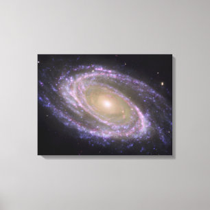 Lienzo Galaxia espiral 81 más sucios