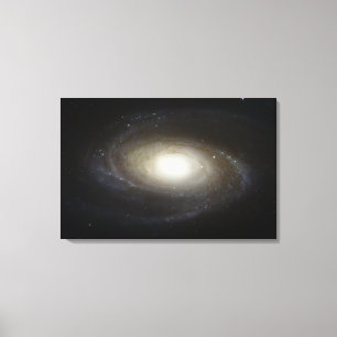 Lienzo Galaxia espiral M81