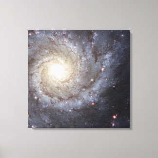 Lienzo Galaxia M74
