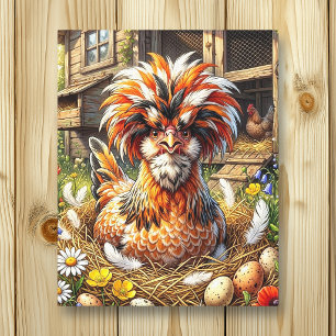 Lienzo Galería de gallinero polaco linda y caprichosa