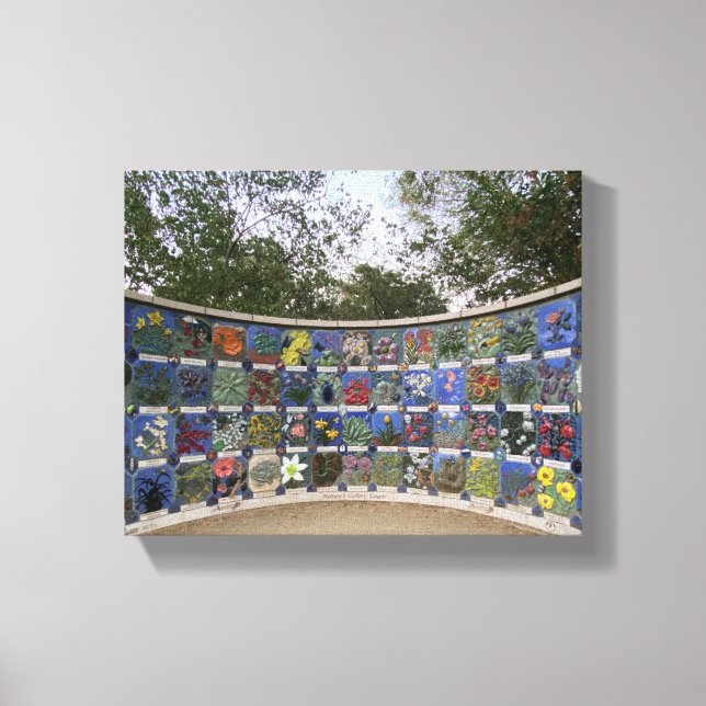 Lienzo Galería de Naturaleza (Anverso)