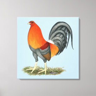Lienzo Gallo Azul Rojo Gamecock