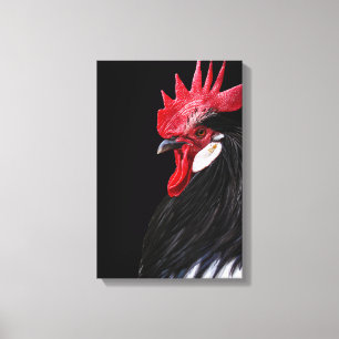 Lienzo Gallo de granja campestre negro rojo blanco Foto d