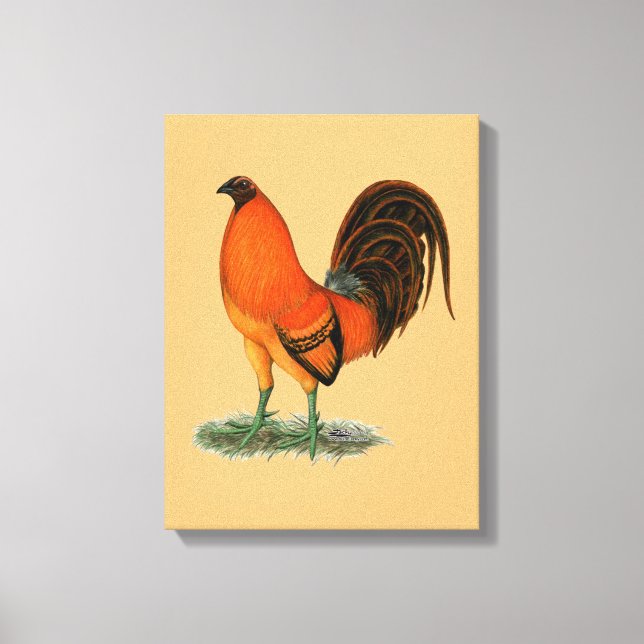 Lienzo Gallo Ginger Rojo Gamecock (Anverso)