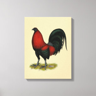 Lienzo Gallo Rojo Negro de Juego Americano