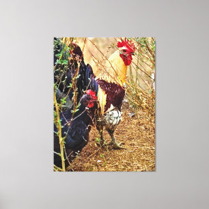 Lienzo Gallo y Gallina en una Maleza