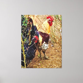 Lienzo Gallo y Gallina en una Maleza