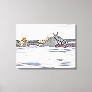 Lienzo Gallopaje De Caballos Blancos En Nieve