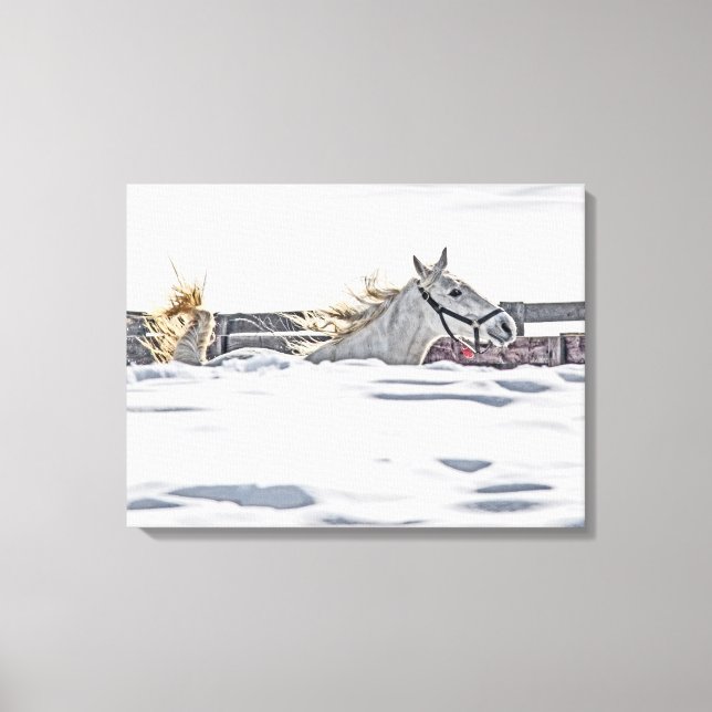 Lienzo Gallopaje De Caballos Blancos En Nieve (Anverso)