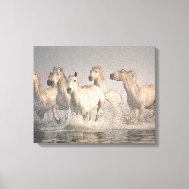 Lienzo Gallopaje de caballos en el agua del Mediterráneo (Anverso)