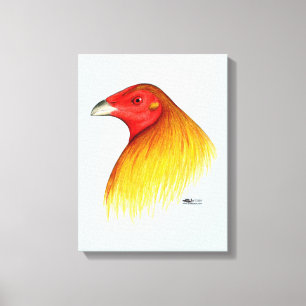 Lienzo Gamecock apodado