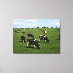 Lienzo Ganado del Holstein-frisón, Irlanda