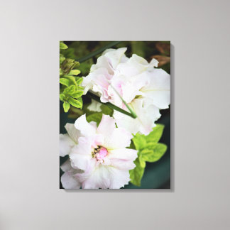 Lienzo Gardenia Flowers
