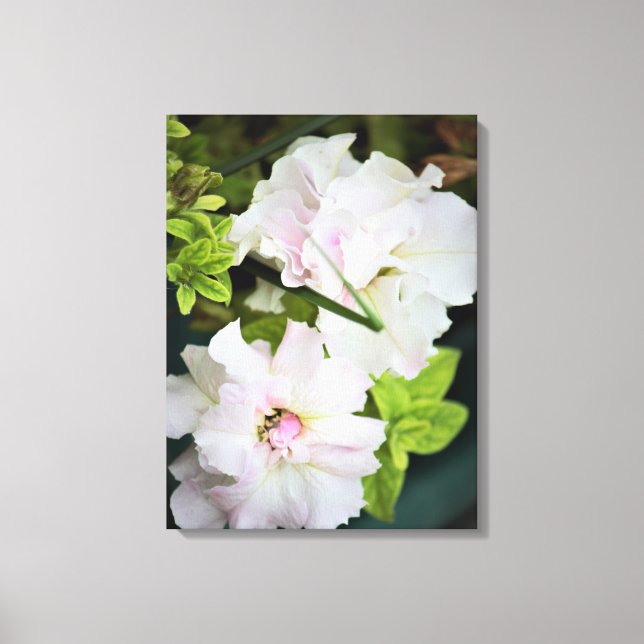 Lienzo Gardenia Flowers (Anverso)
