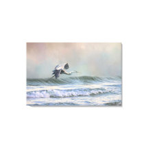 Garza azul en la playa