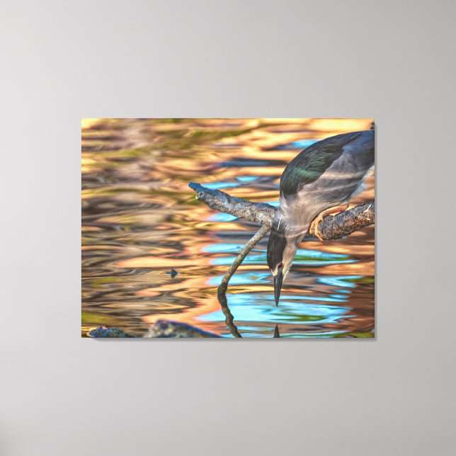 Lienzo Garza Nocturna Coroninegra Pescando (Anverso)