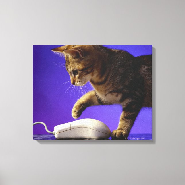 Lienzo Gatito con ratón de ordenador (Anverso)