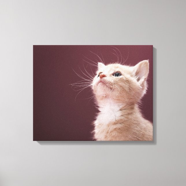 Lienzo Gatito con Whiskers (Anverso)