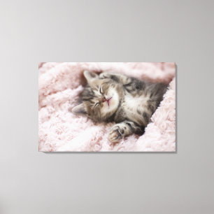 Lienzo Gatito durmiendo en la toalla
