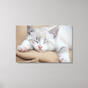 Lienzo Gatito el dormir