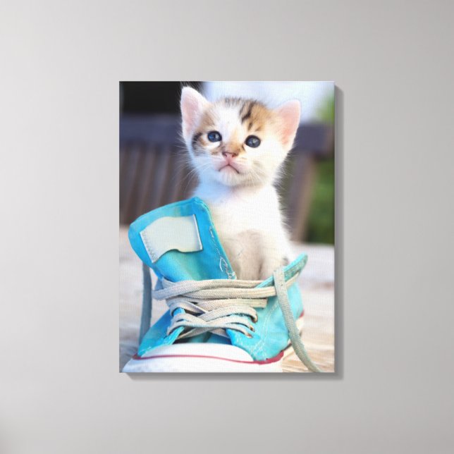 Lienzo Gatito En Un Zapato (Anverso)