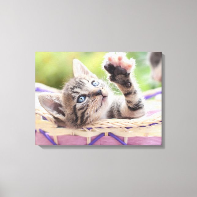 Lienzo Gatito En Una Cesta (Anverso)
