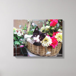 Lienzo Gatito en una cesta
