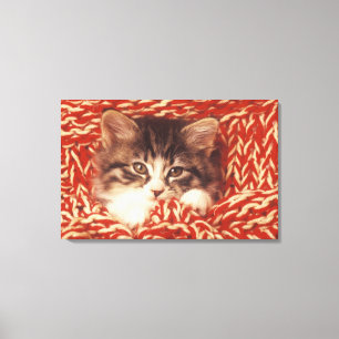 Lienzo Gatito envuelto en la manta de lana, primer