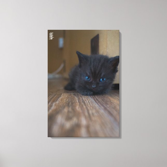 Lienzo Gatito negro (Anverso)