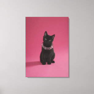 Lienzo Gatito negro que lleva el collar jeweled