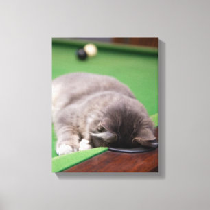 Lienzo Gatito que juega al billar
