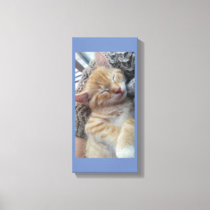 Lienzo gatito somnoliento