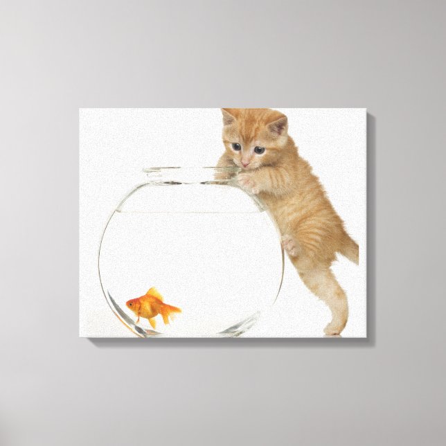 Lienzo Gatito tratando de llegar a un pez dorado (Anverso)