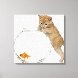 Lienzo Gatito tratando de llegar a un pez dorado