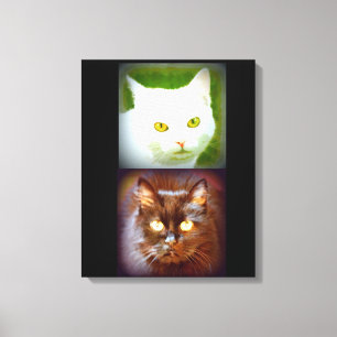 Lienzo gatitos blancos/negros