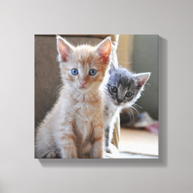 Lienzo Gatitos curiosos (Anverso)