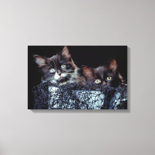 Lienzo Gatitos en envase