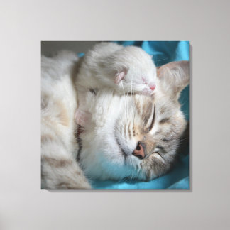 Lienzo Gatitos y mamá