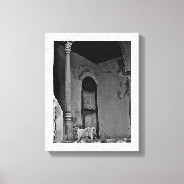 Lienzo Gato Al Balad (Anverso)