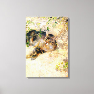 Lienzo Gato al sol, Bruno Liljefors