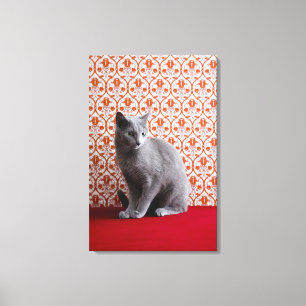 Lienzo Gato (azul ruso) y fondo del papel pintado