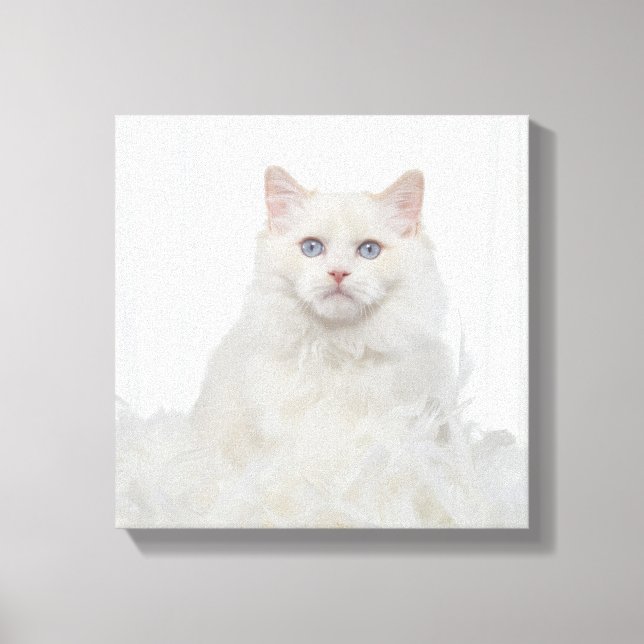 Lienzo Gato blanco con plumas (Anverso)