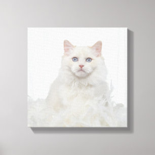 Lienzo Gato blanco con plumas